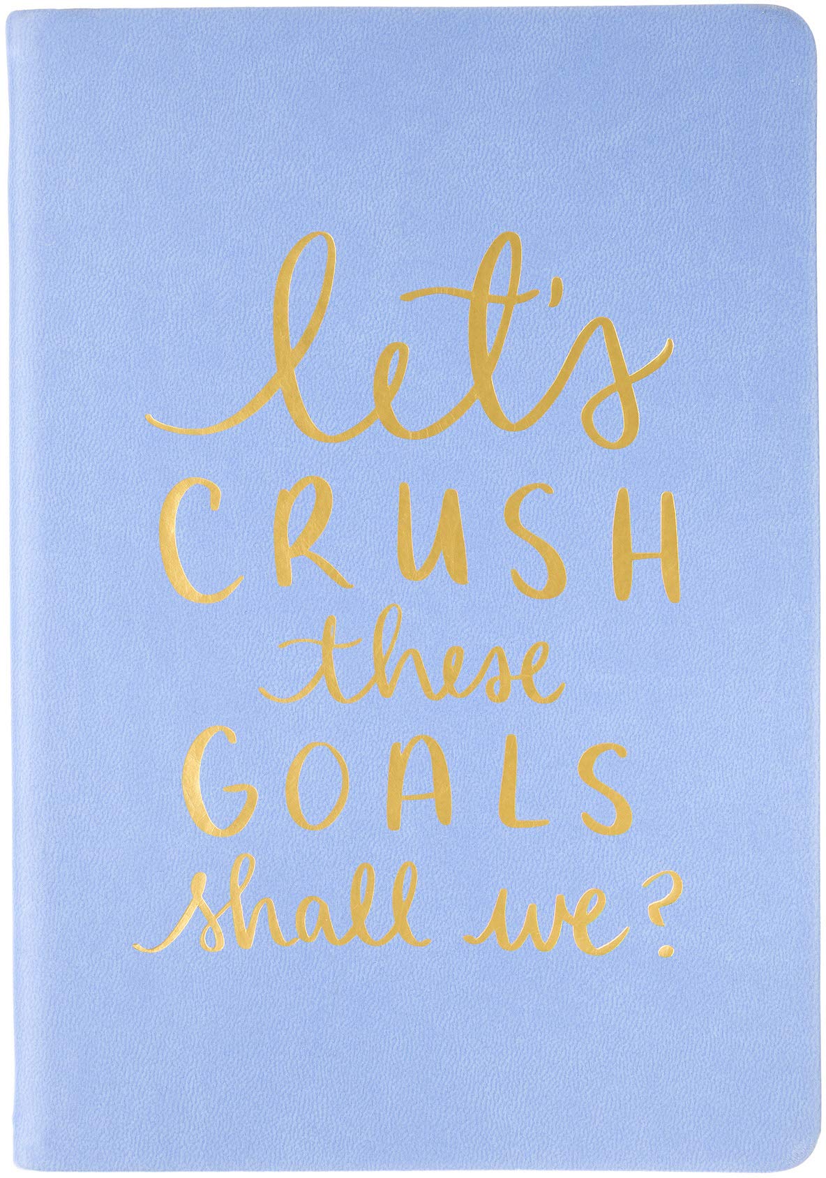 let's CRUSH these GOALS shall we? | Journal