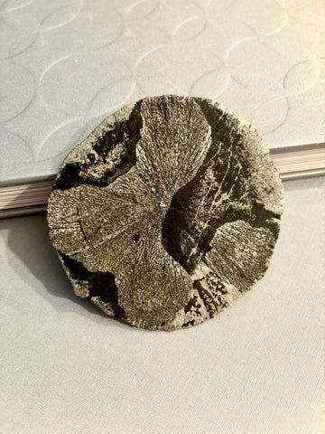 Pyrite Sun | 350 Million Years Old