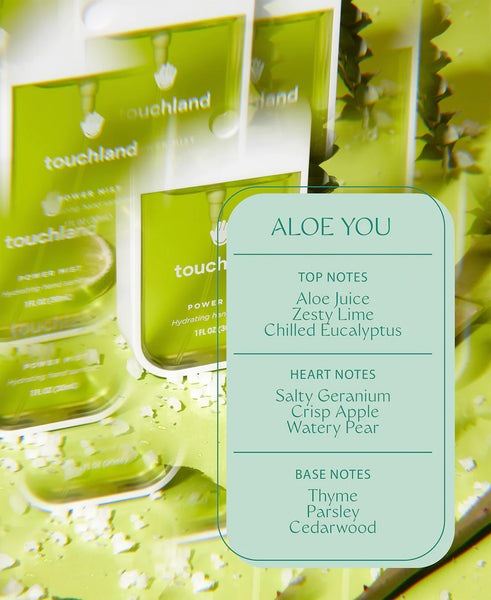 Power Mist Hand Sanitizer | Aloe You