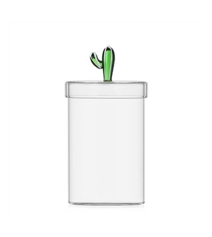 Desert Plants | Green Cactus Box