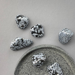 Snowflake Obsidian | Tumbled Stone